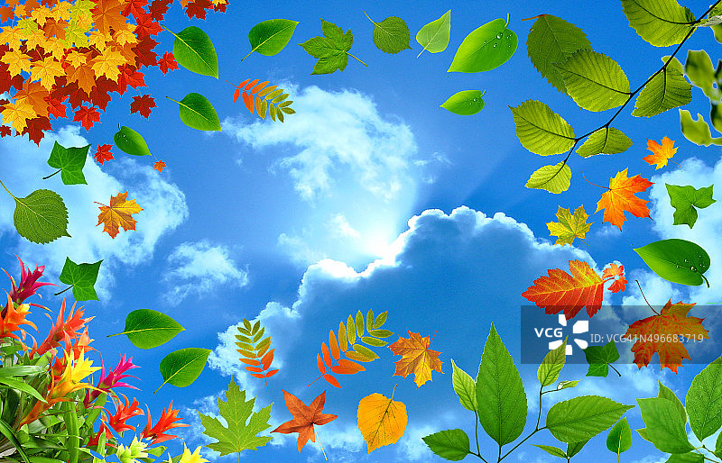树叶云朵图片素材