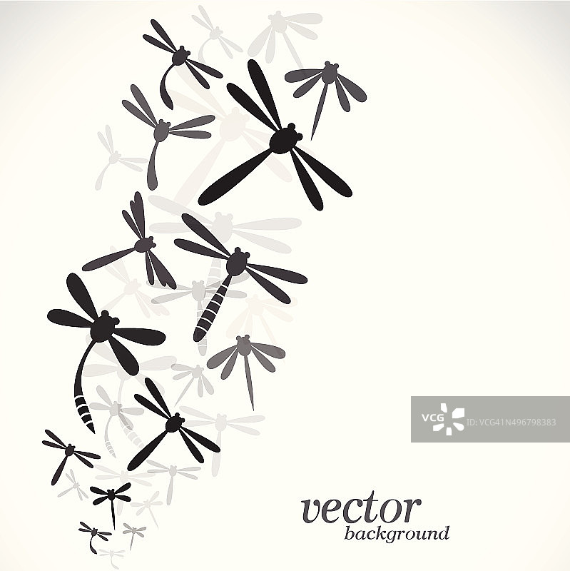 白色背景上的蜻蜓设计图片素材