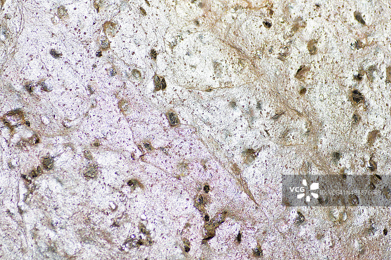 石头的纹理图片素材