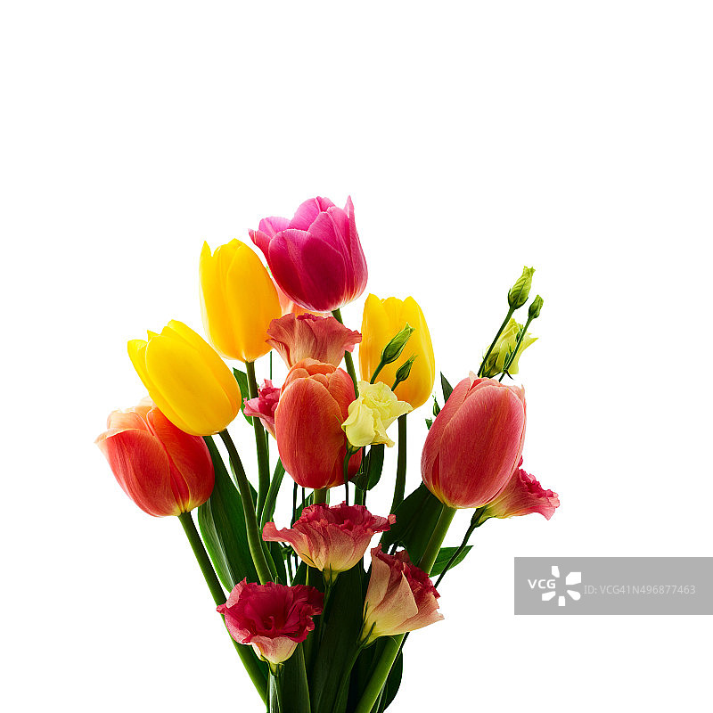 彩色春季郁金香和洋桔梗花束图片素材