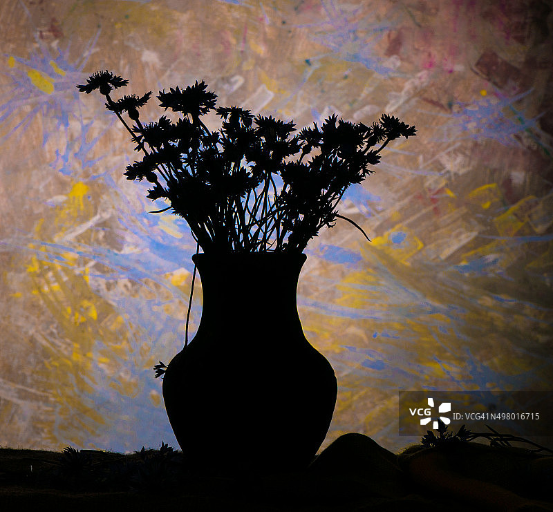 美丽的蓝色矢车菊图片素材