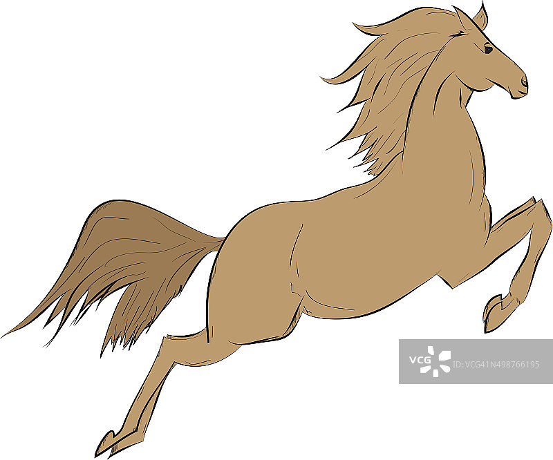 有趣的棕色马图片素材