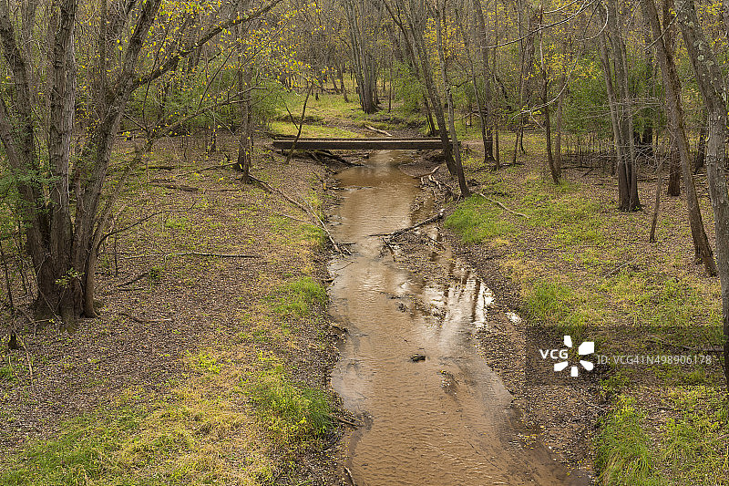 秋日树林中的小溪图片素材