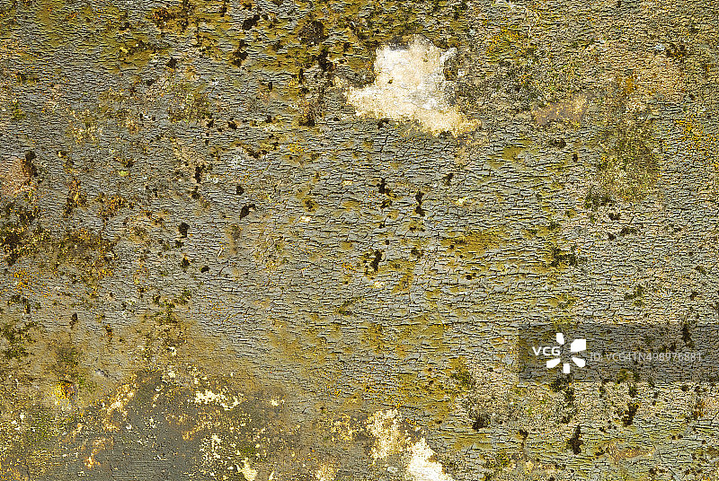 覆盖着地衣苔藓的旧混凝土墙面纹理图片素材