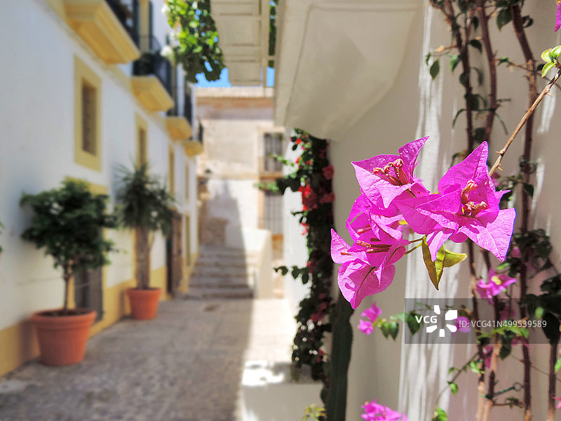 达尔特维拉图片素材