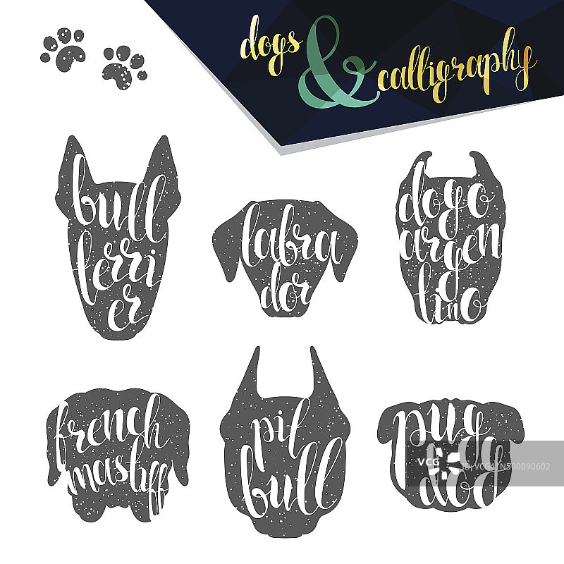 手写体狗品种名称合集图片素材