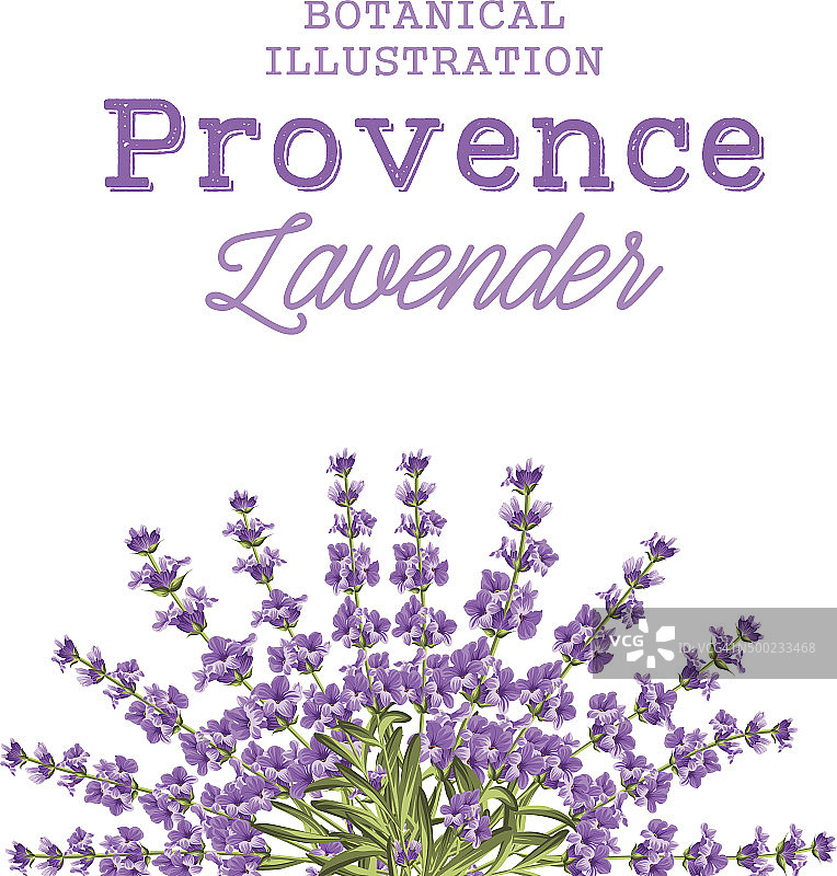 薰衣草花环图片素材