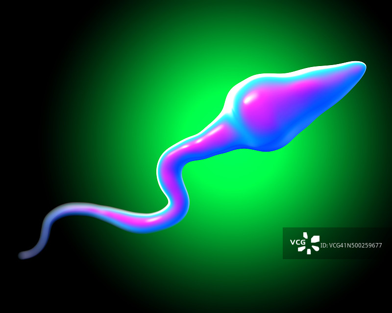 精子特写镜头图片素材