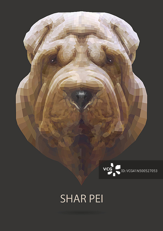 沙皮狗矢量图图片素材