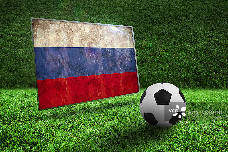 草地上的黑白足球图片素材