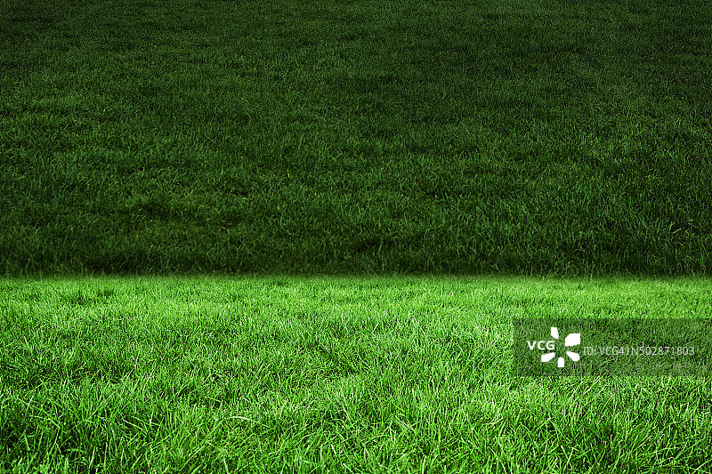 两种色调的绿草图片素材