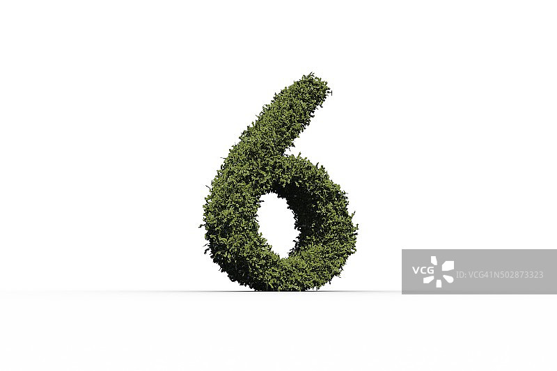 树叶组成的数字6图片素材