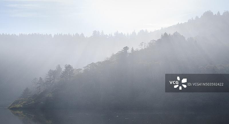 红杉国家公园图片素材