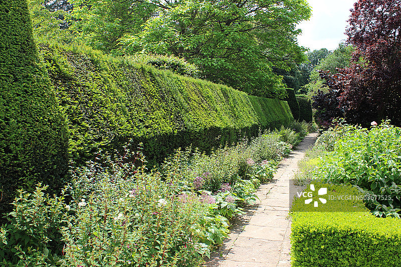 修剪过的红豆杉树篱和夏季草本花卉图片素材