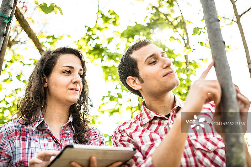 农民对他们的植物进行质量检查图片素材