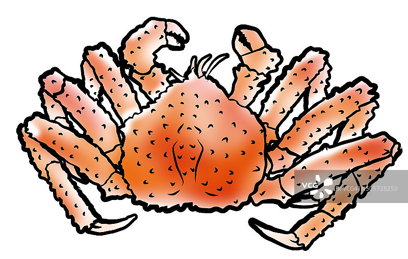 帝王蟹图片素材