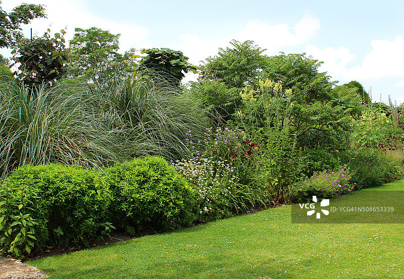 绿色花园草坪、灌木和草本花卉图片素材