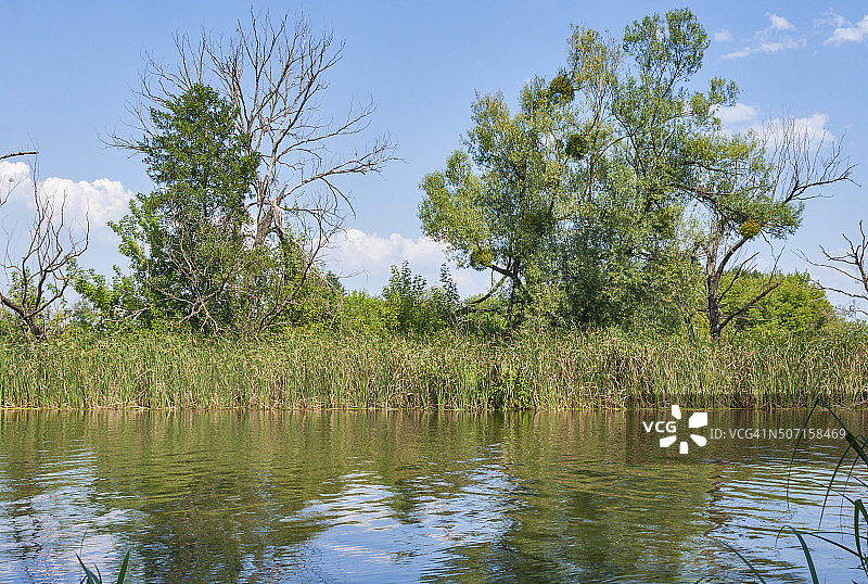 罗斯河风光图片素材