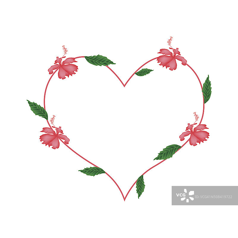 心形红色芙蓉花图片素材