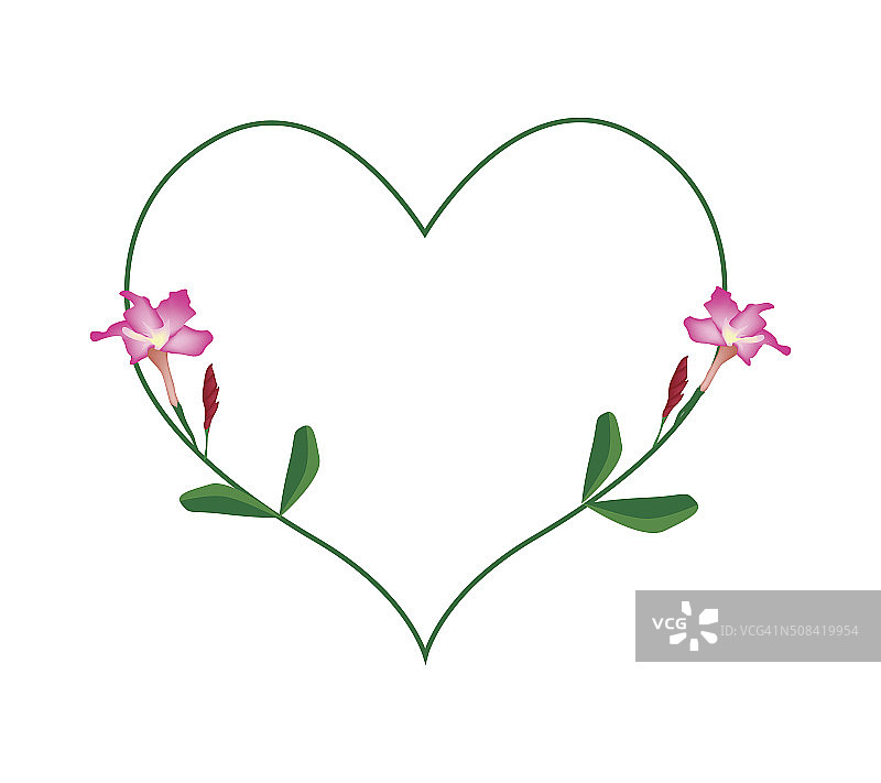 心形粉色沙漠玫瑰花图片素材