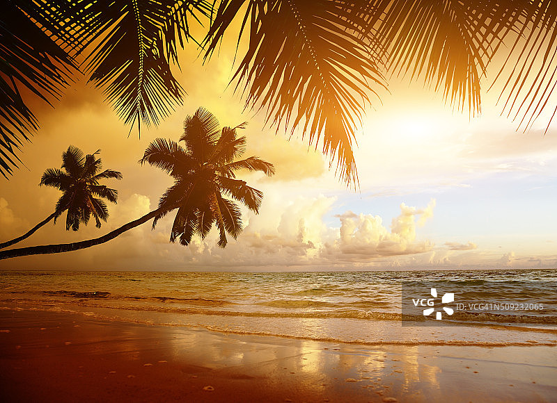 加勒比海海滩日落图片素材