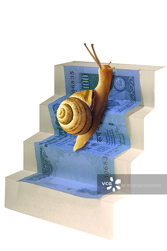 楼梯上的蜗牛图片素材