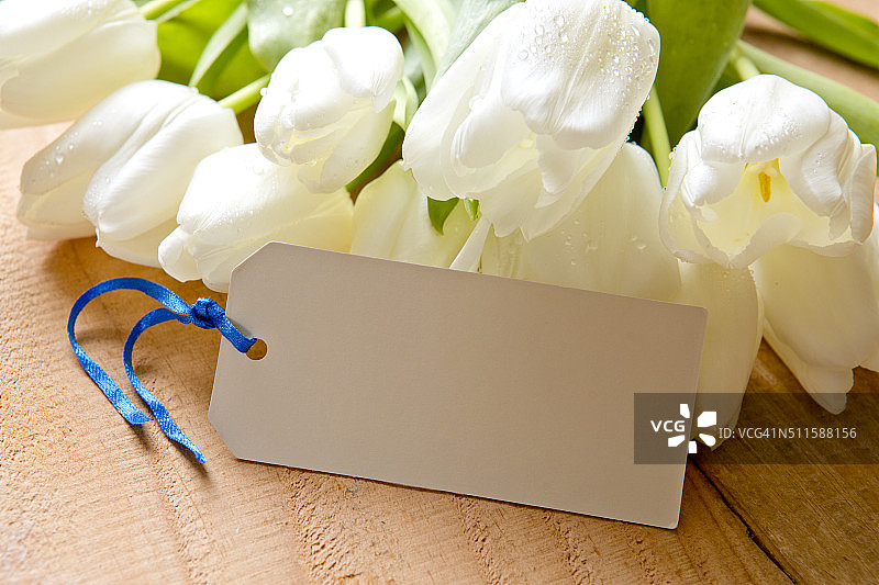 白郁金香花束附空白留言卡图片素材
