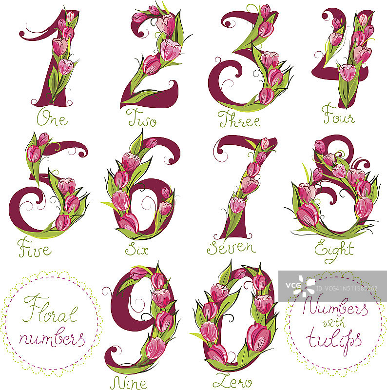 花卉数字图片素材