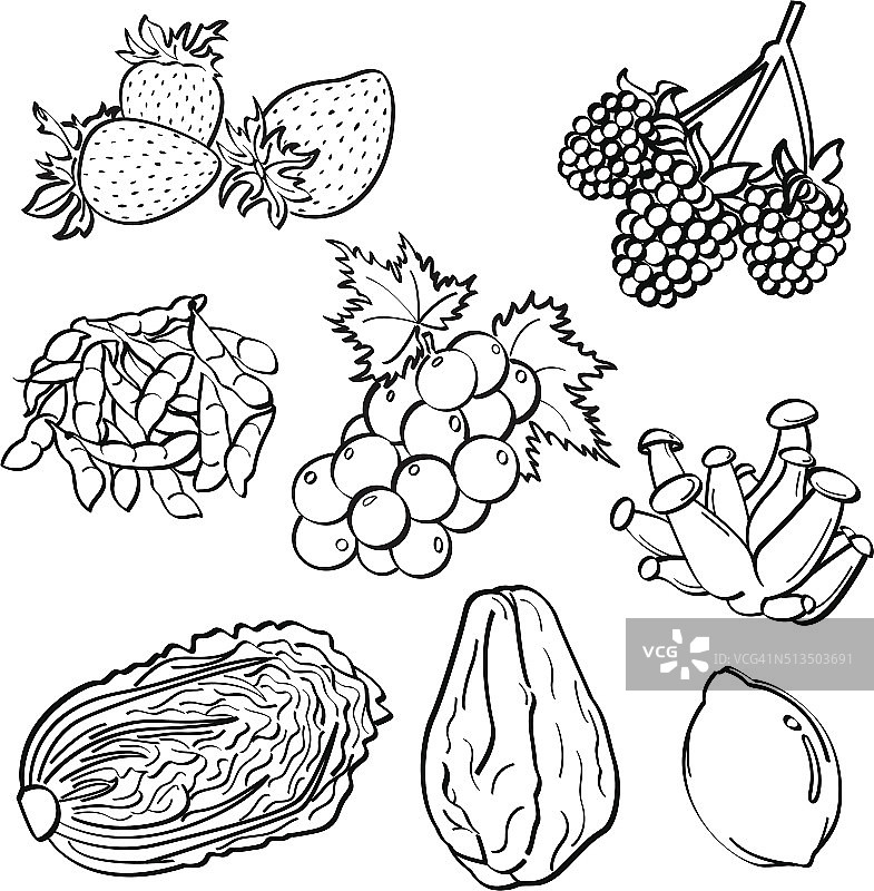 水果蔬菜合集图片素材