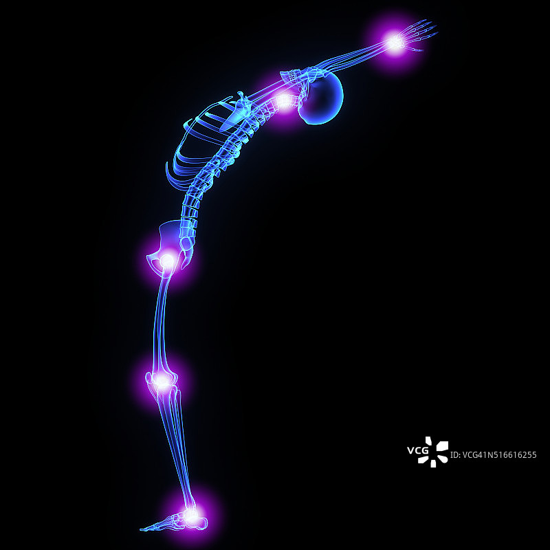 腿部关节图片素材