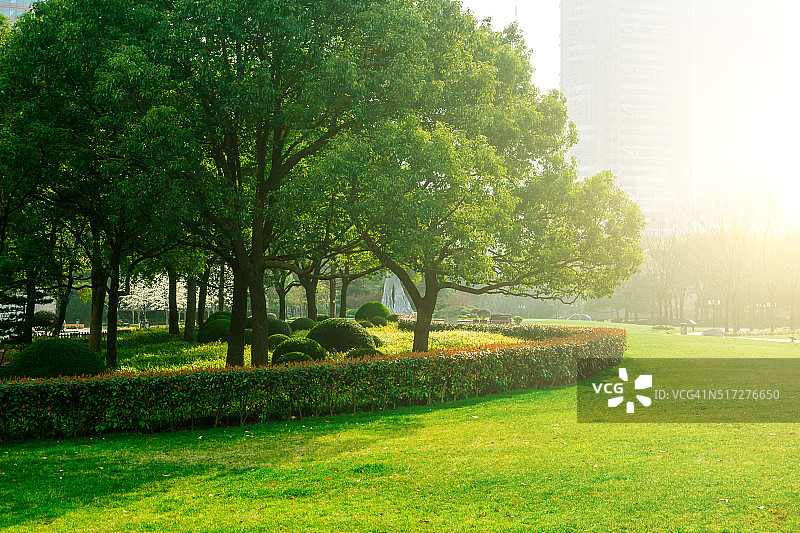 绿色城市公园图片素材