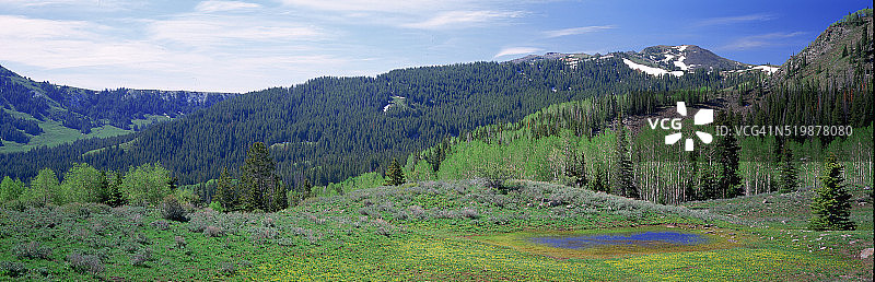 鱼湖国家森林图片素材