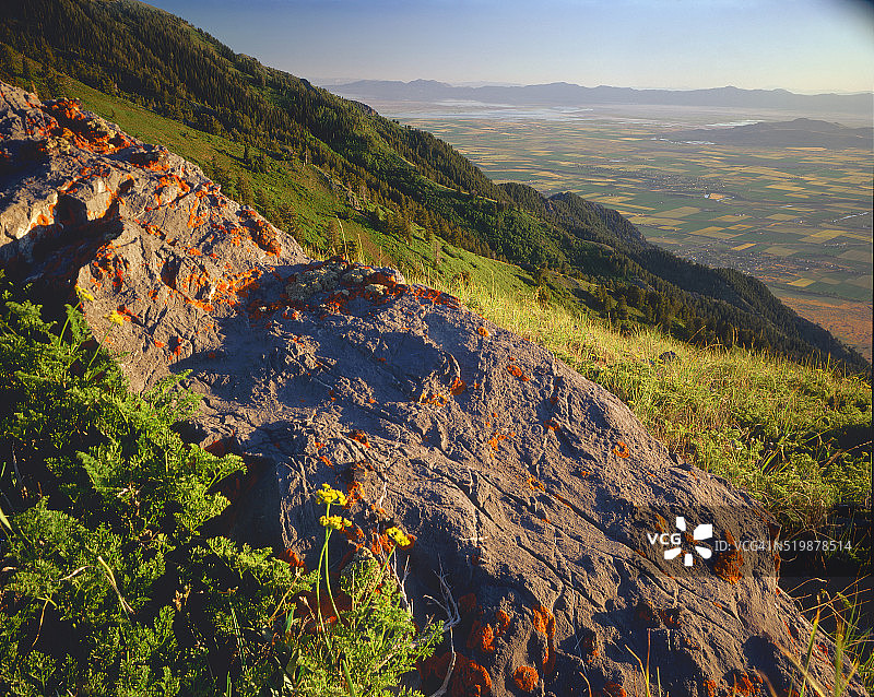 石灰石巨石上的地衣图片素材