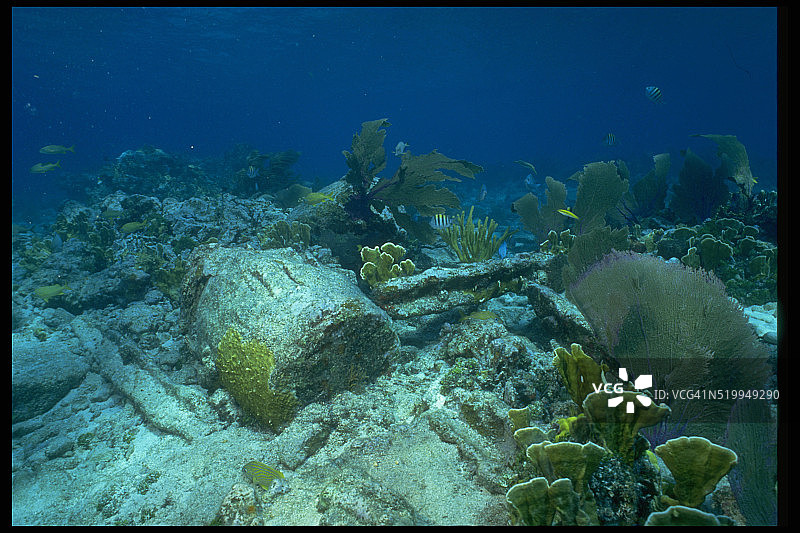 糖蜜礁上的老旧船只局部图片素材