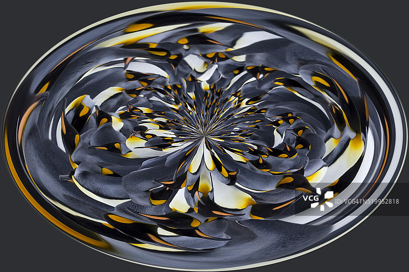 帝企鹅群的椭圆形魔法设计图片素材