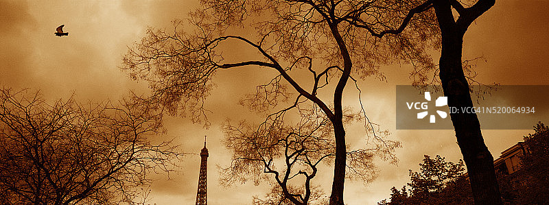 法国巴黎的埃菲尔铁塔图片素材