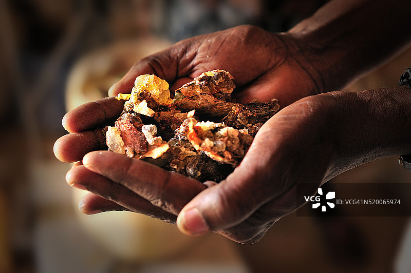 蓬特兰, 博萨索的索马里天然树脂经销商展示乳香图片素材