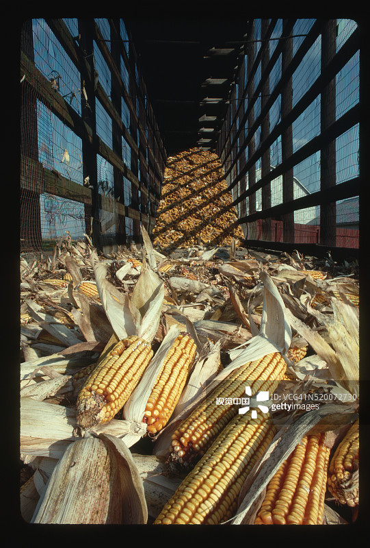 玉米仓内部图片素材