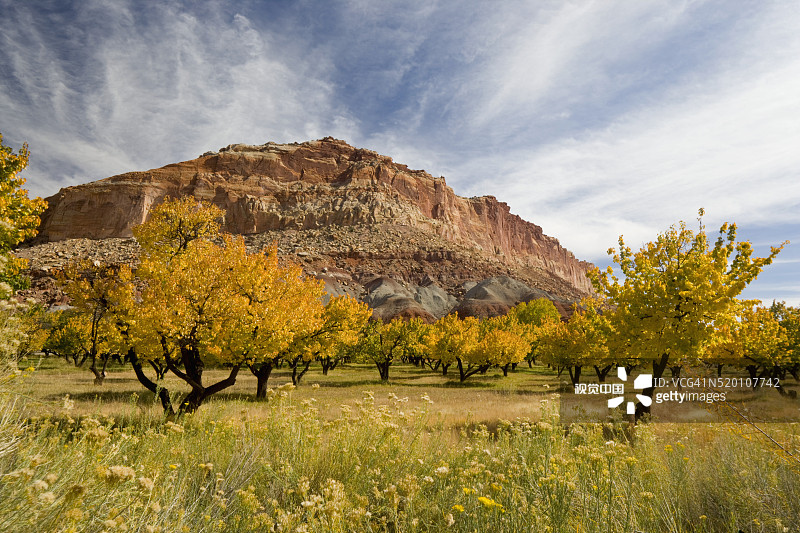 美国犹他州国会礁国家公园秋季景观图片素材