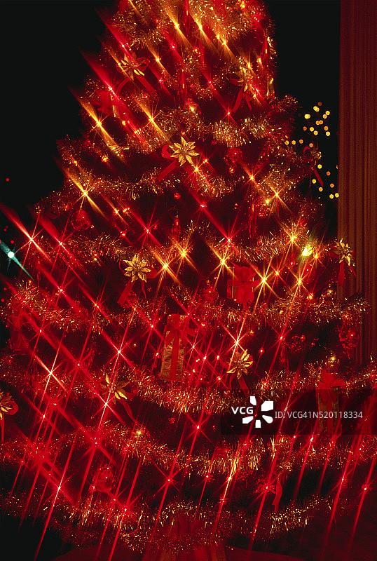 点亮的圣诞树图片素材