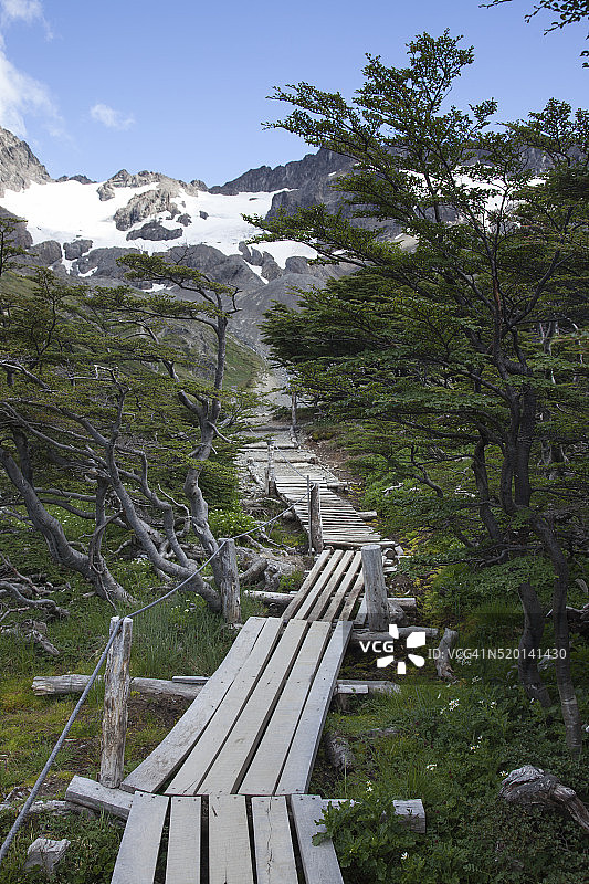 通往马歇尔冰川附近的森林步道图片素材