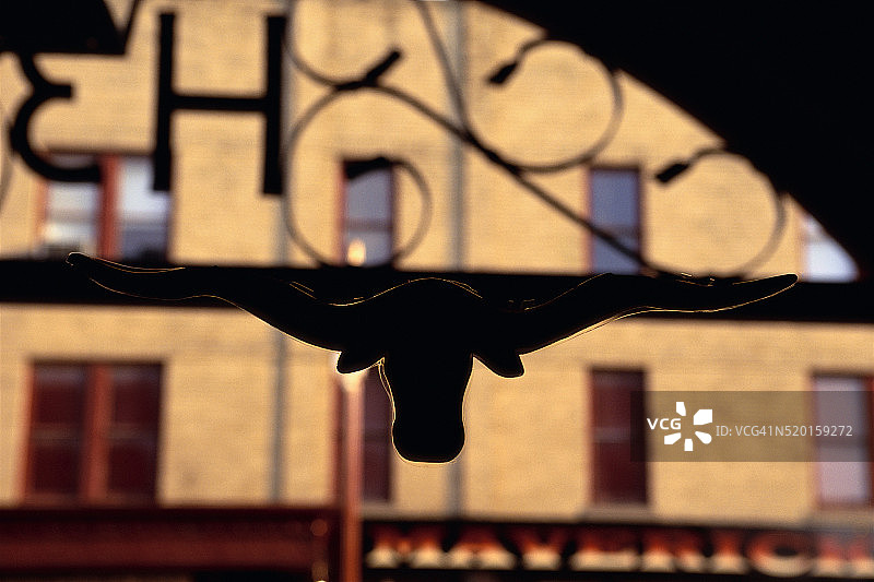 牛头轮廓图片素材