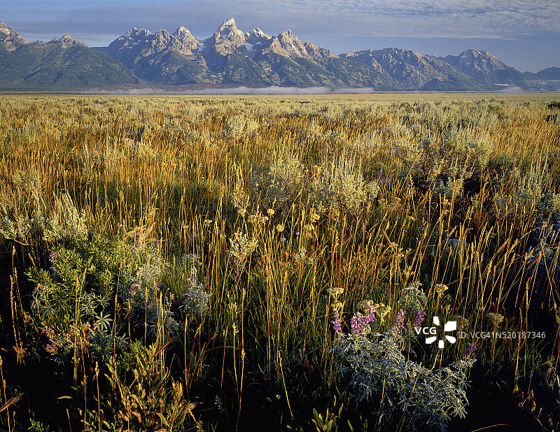 大提顿国家公园图片素材