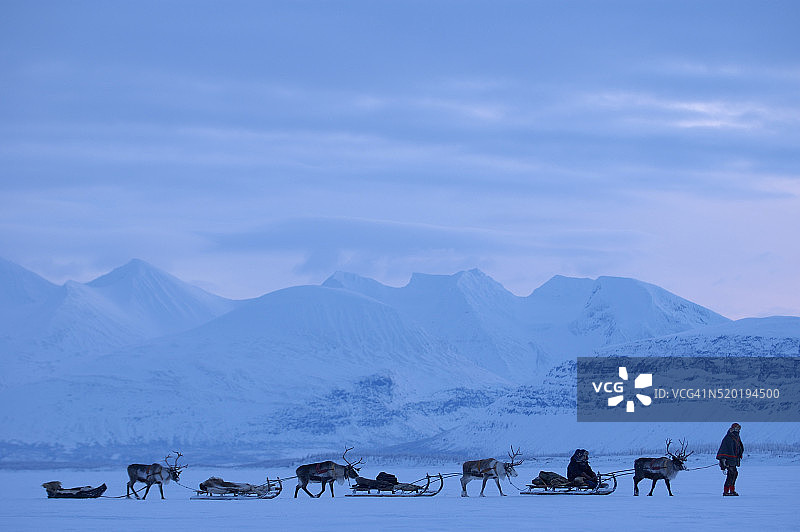 斯托拉舍法莱特国家公园驯鹿雪橇之旅图片素材