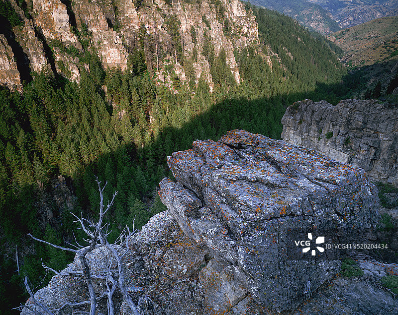瓦萨奇-卡什国家森林中的石灰石巨石图片素材