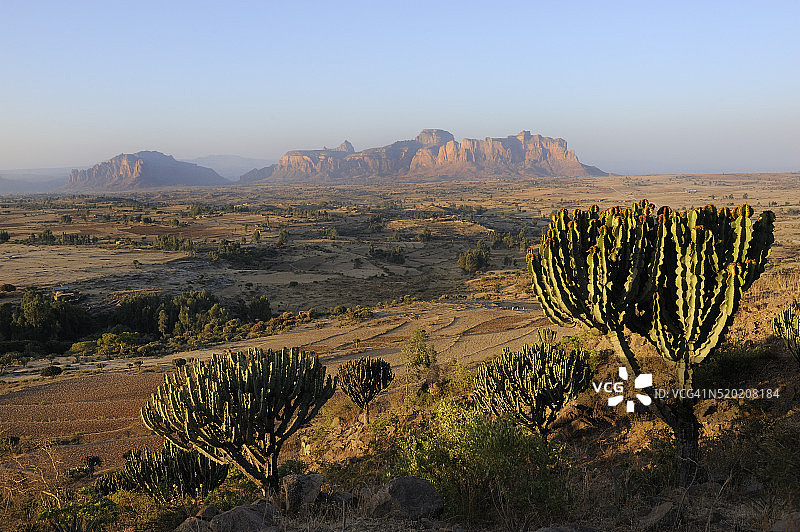 埃塞俄比亚大戟仙人掌和格拉尔塔山脉图片素材