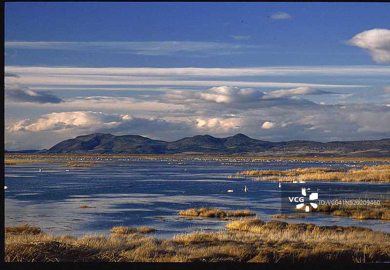 下克拉马斯瀑布国家野生动物保护区图片素材