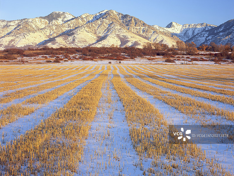 熊河山脉下的农田覆盖着薄雪图片素材