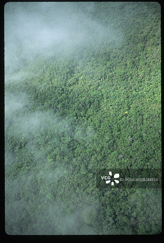 热带雨林上空的云彩图片素材