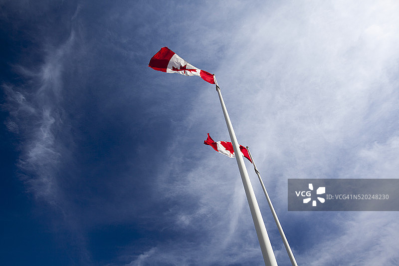 加拿大多伦多市的加拿大国旗图片素材